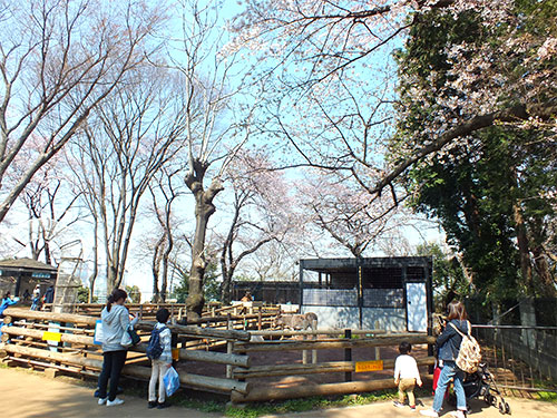 隣接する加瀬山は夢見ヶ崎動物公園の他、神社仏閣、古墳など歴史と自然の宝庫です。